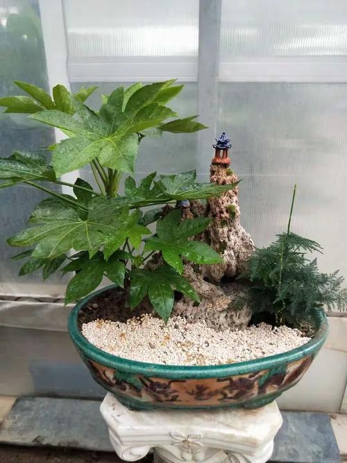 鮮花綠植